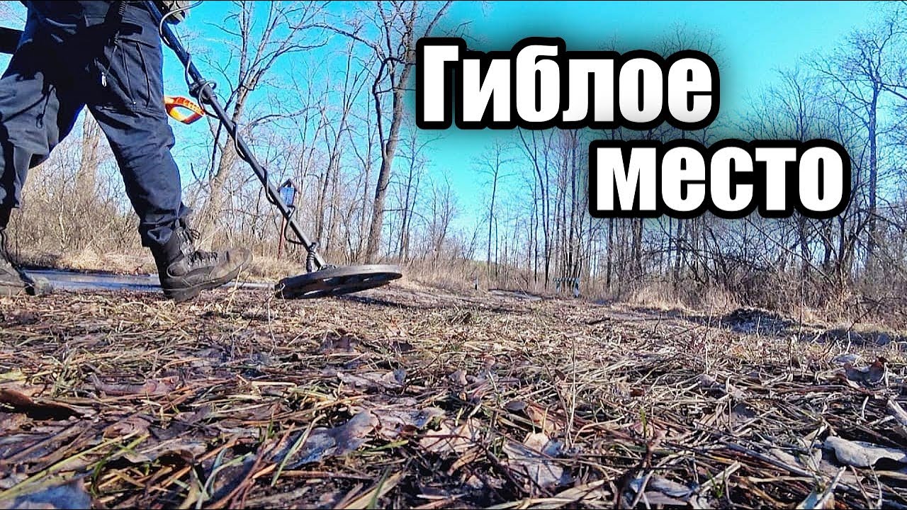 Болотный коп с MD Nokta Makro Simplex plus.