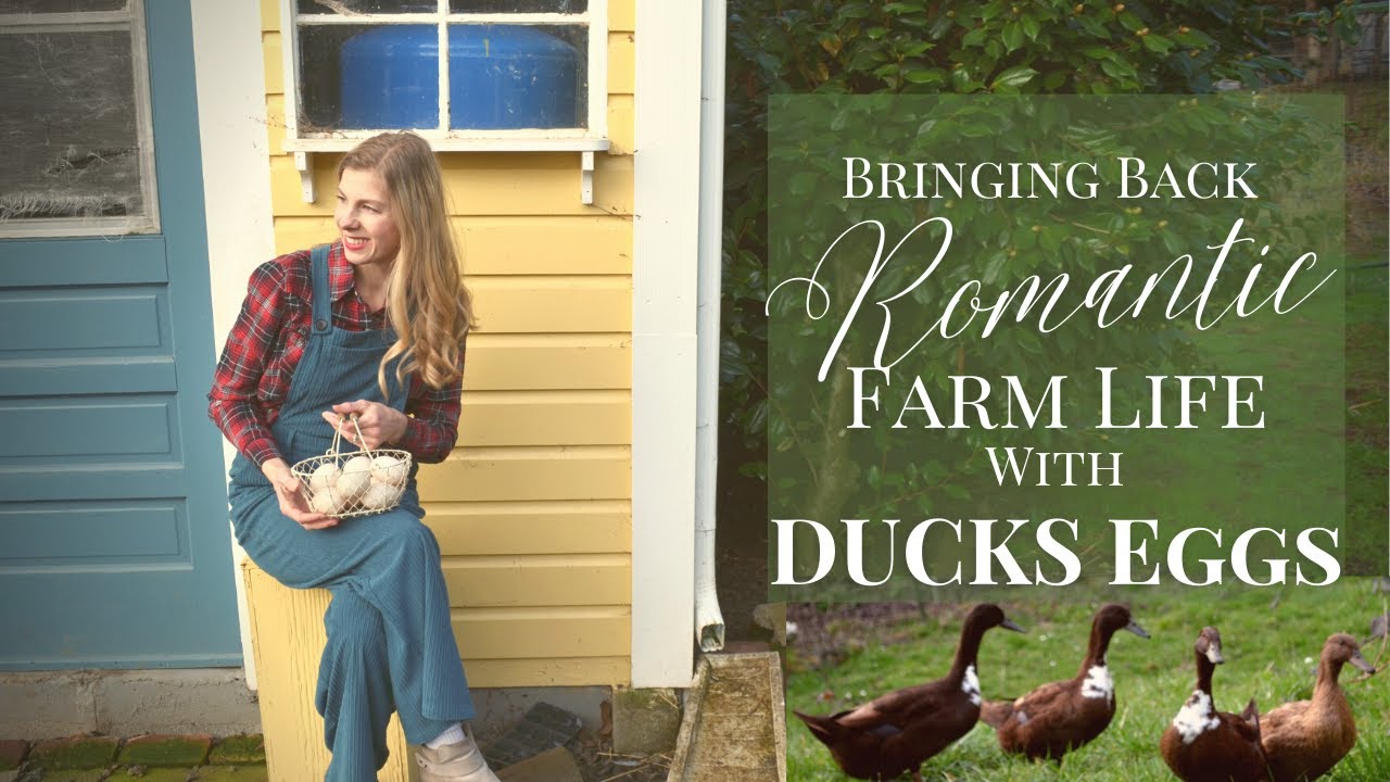 How to Use Duck Eggs in Baking | Caring for Ducks in the Winter | Make Brunch with Me | Farm Ducks