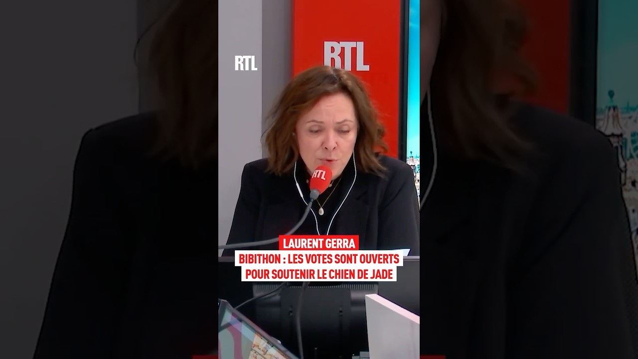 Laurent Gerra : les votes du Bibithon sont ouverts pour soutenir le chien de Jade 🤣