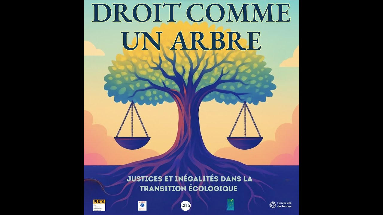 Justice sociale et justice fiscale : sur qui pèse la transition