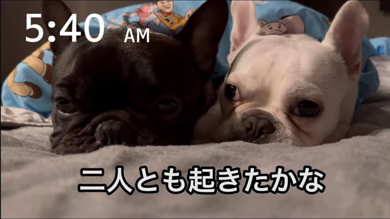 マサ君とゲンさんYouTubeデビューです。日常編