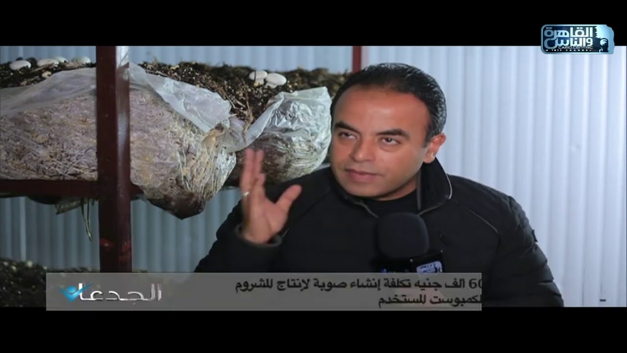 الجدعان في مزارع المنصورة لإنتاج المشروم والتي أقامها الشابين 