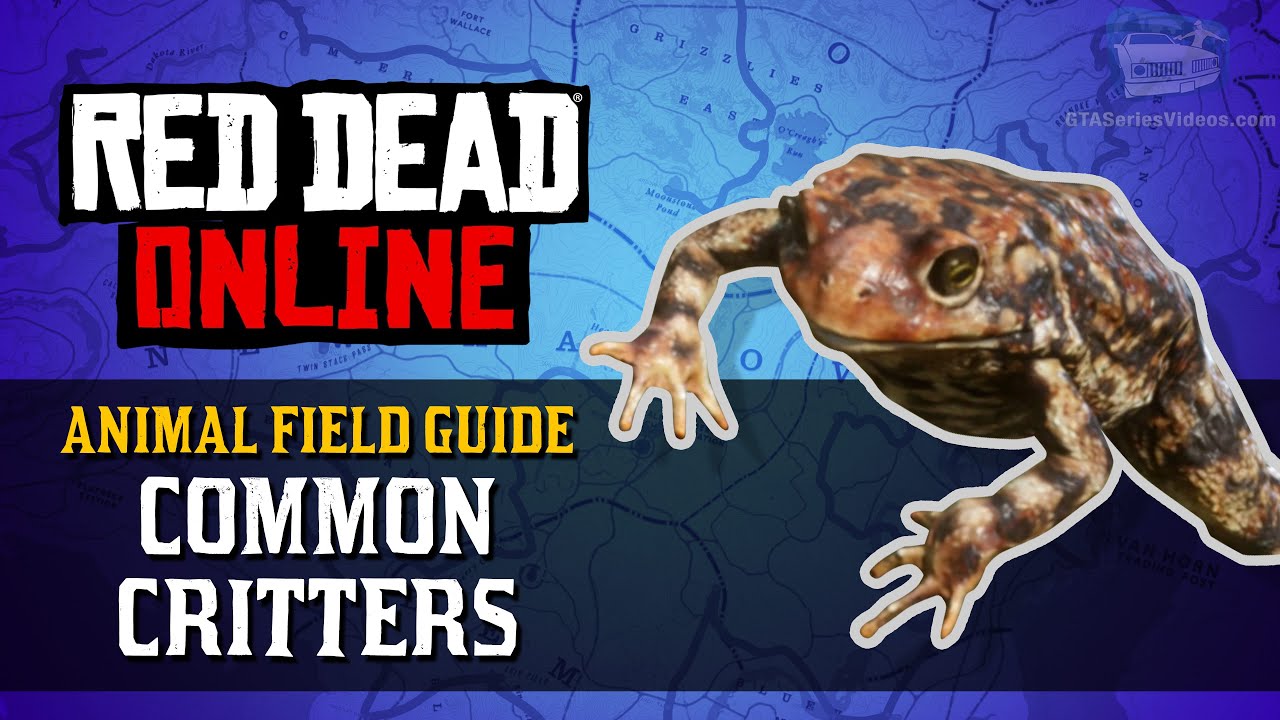 Red Dead Online - Common Critters Animal Locations Guide [Naturalist Role]
