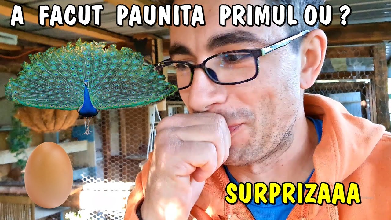 Viața la țară ❤ Am găsit PRIMUL OU de PĂUNIȚĂ ⁉️ 🦚