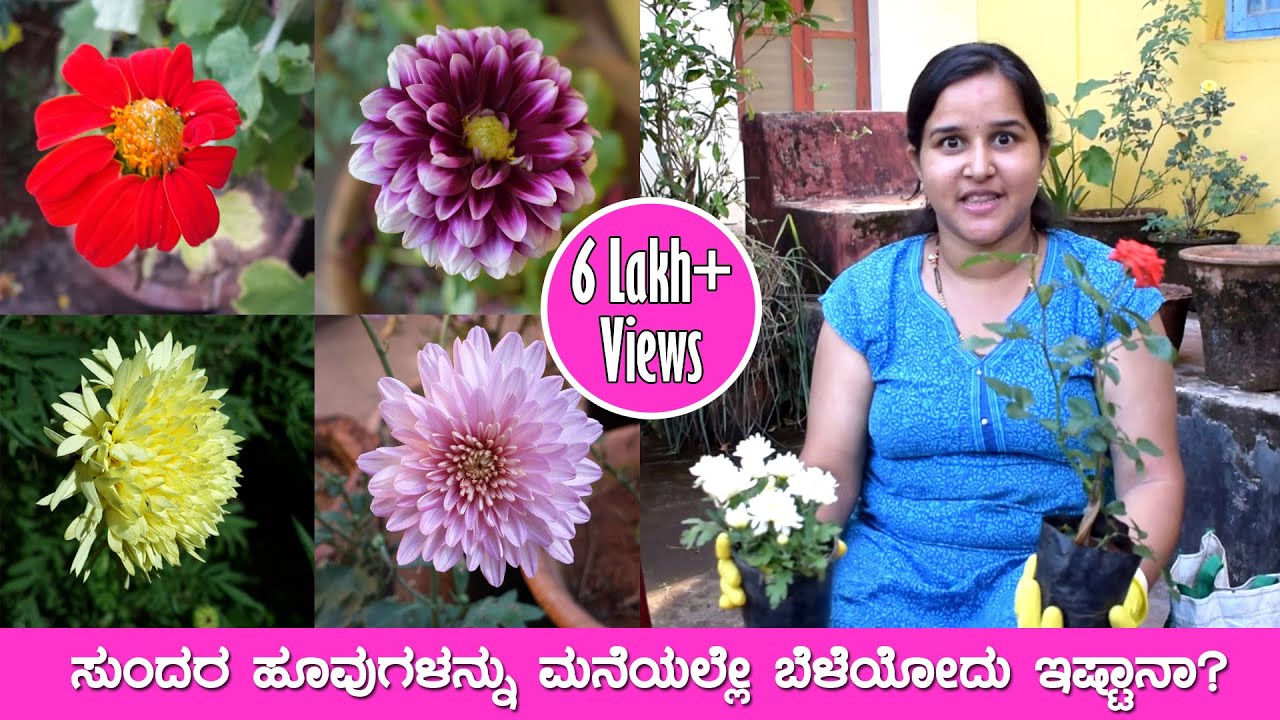 ಸ್ನೇಹಾಳ ಗಾರ್ಡನ್ ನೋಡಿ Sneha's Garden and flowers [Kannada Vlogs] - Mr and Mrs Kamath