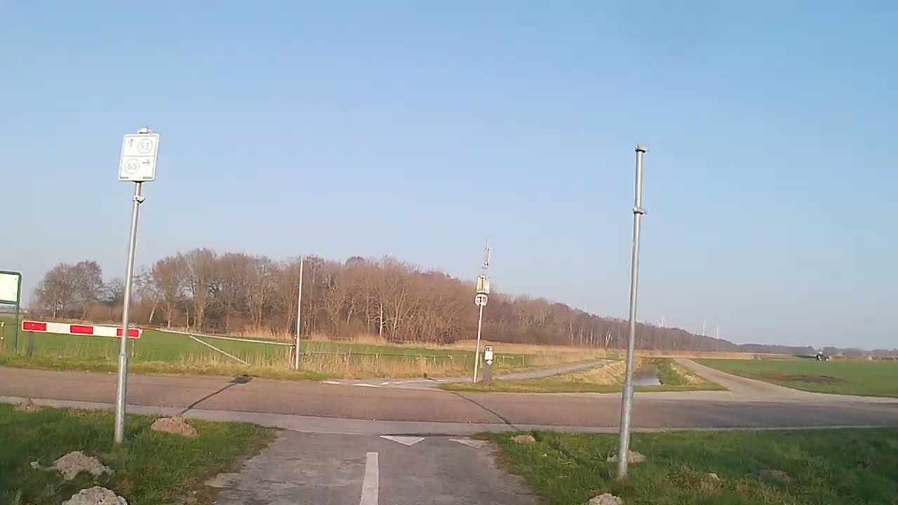 20250219 033339
