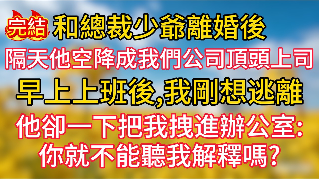 和總裁少爺離婚後，隔天他空降成我們公司頂頭上司，早上上班後，我剛想逃離時，他卻一下把我拽進辦公室：“你就不能聽我解釋嗎？”