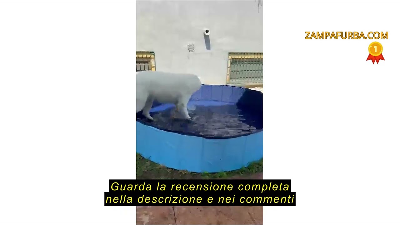 Recensione del App Life Piscina Pool per Cani Medi Grandi - Vasca da Bagno per Cani - PVC Pieghevole