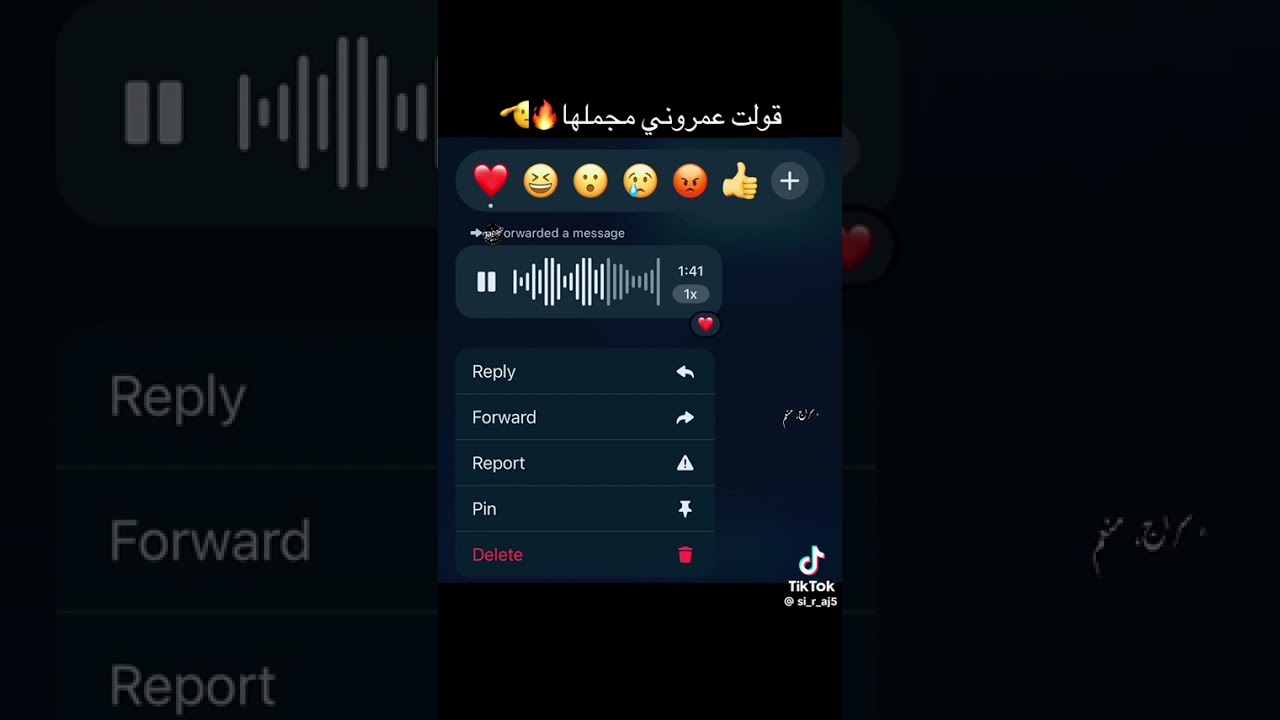 رافع العكوكي ( العمروني ) 
