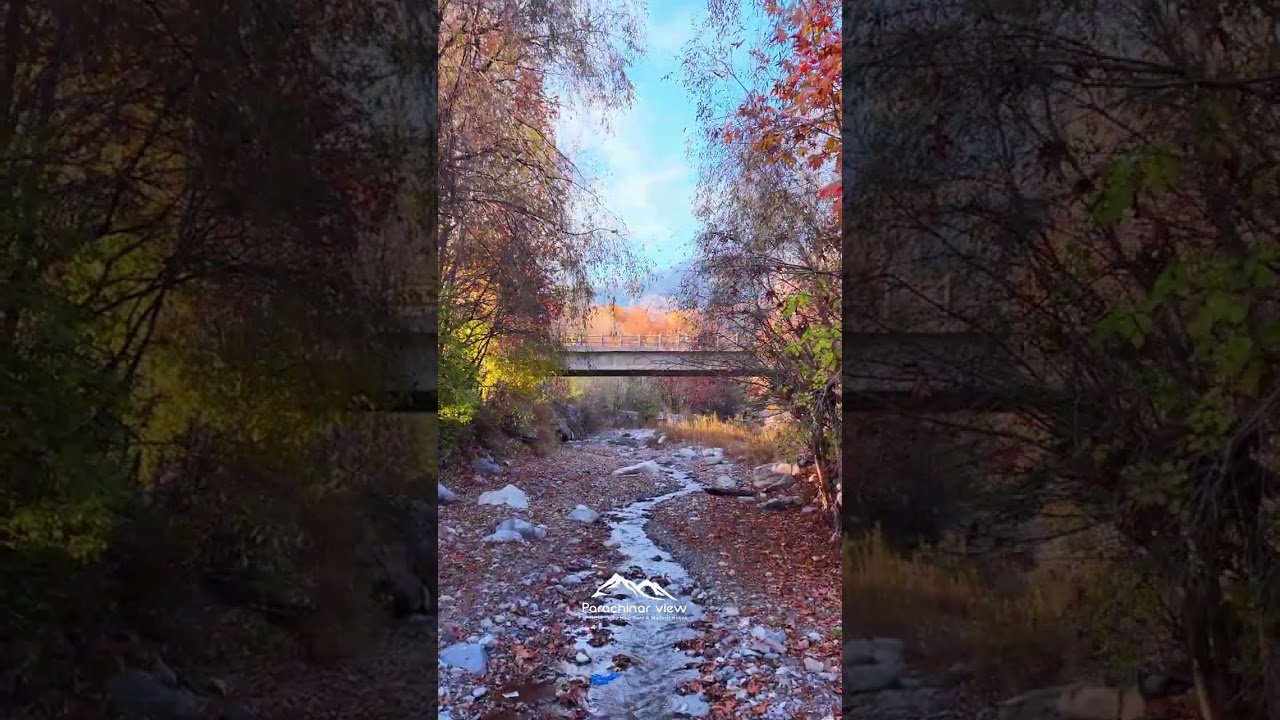 Canada or Kurram? When Zeran Upper Kurram Feels Like Canada in Fall 🍁