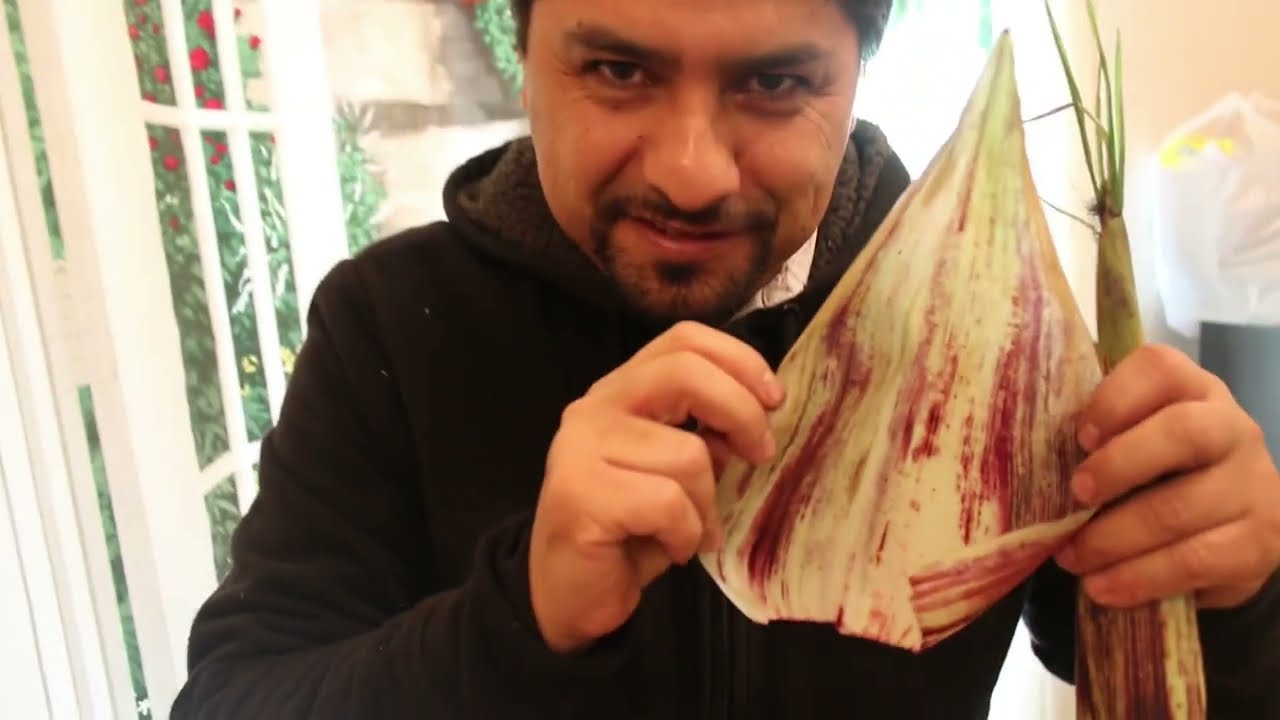 HOW TO MAKE CORN HUSKS FOR TAMALES #delranchorecipes #mexicanfood