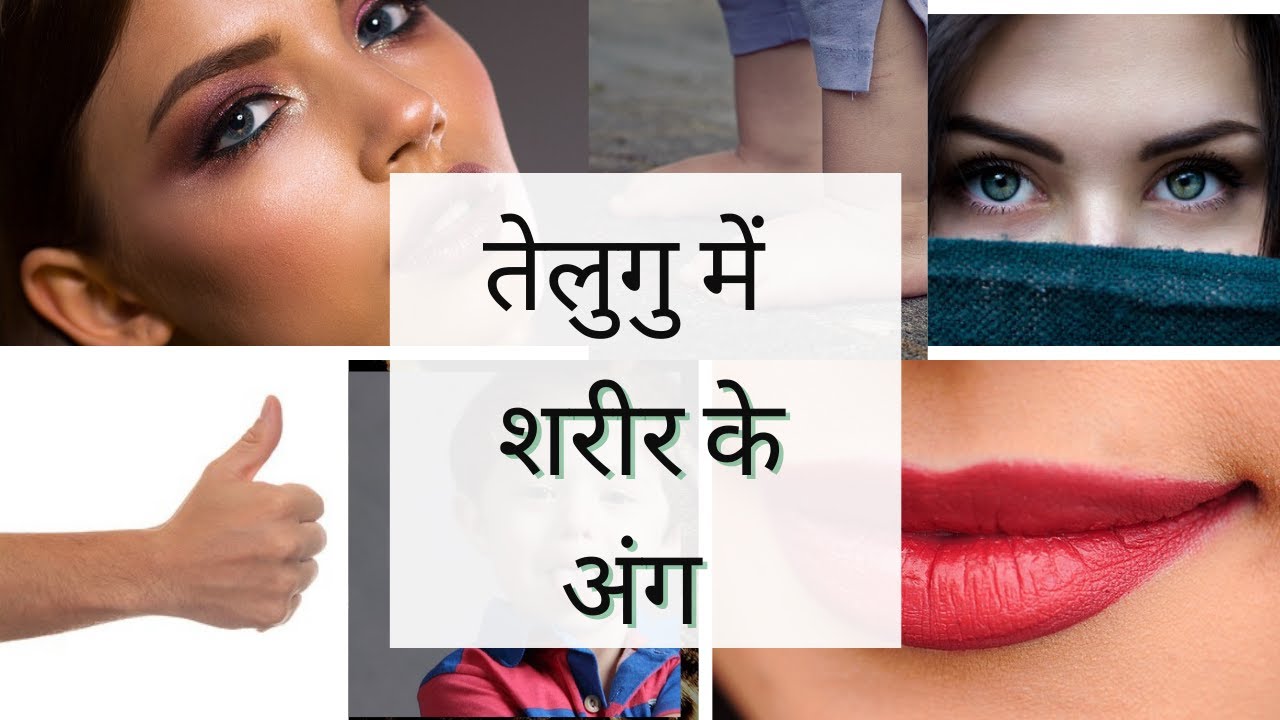 तेलुगु में शरीर के अंगों के नाम  | तेलुगु सीखिए