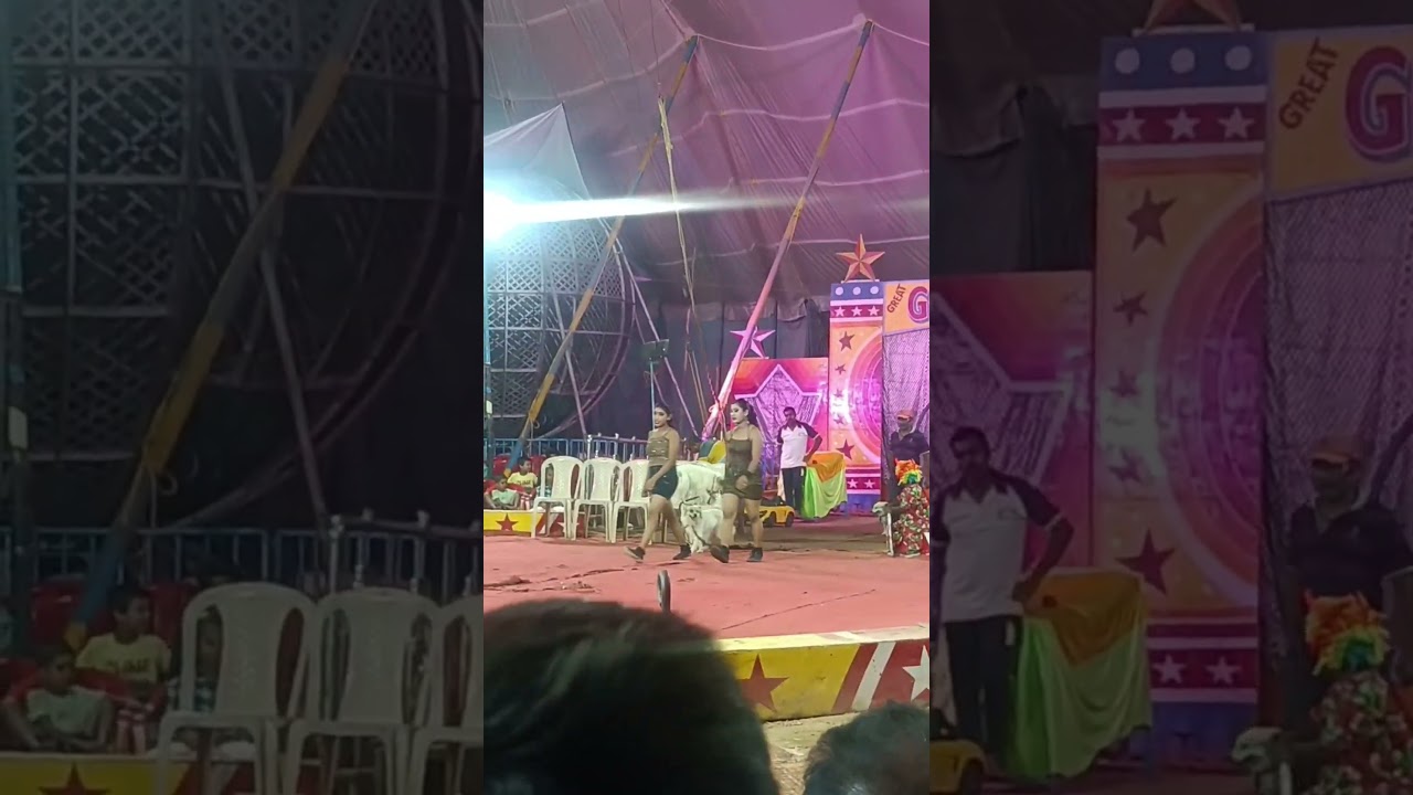 Gemini Circus 🤩Rajgir #Malmas#Mela#2023#viral#video