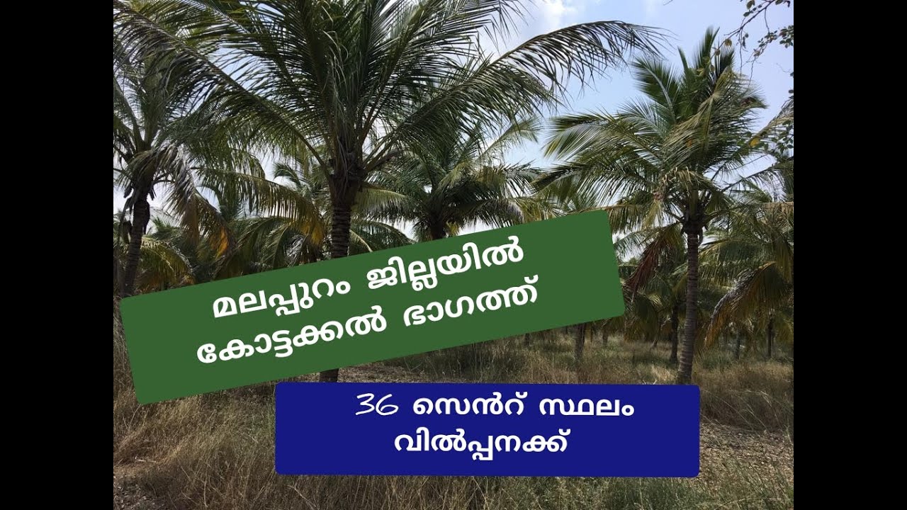 മലപ്പുറം ജില്ലയിൽ കോട്ടക്കൽ ഭാഗത്ത്‌ 36 സെൻറ് സ്ഥലം വിൽപ്പനക്ക്:LAND FOR SALE IN MALAPPURAM