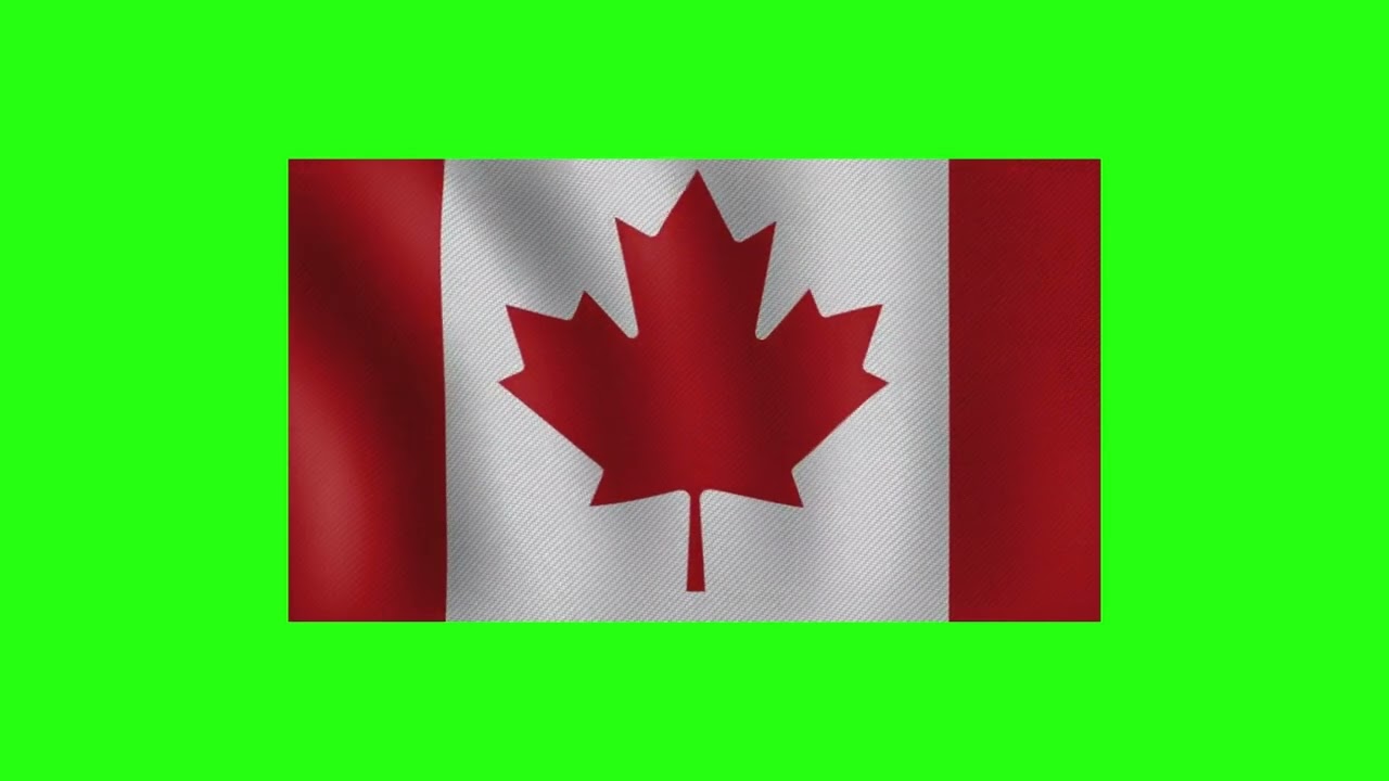 Green Screen Canadian Flag No 🇨🇦 Canadian Flag Animation | Green Screen | No Copyright 🎬
