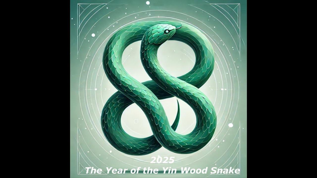 2025: What is coming in the Year of the Wood Snake? with Nick Haines