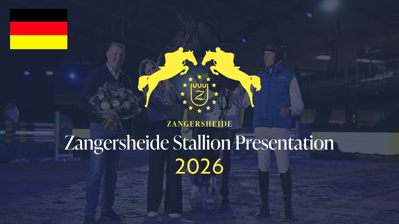Zangersheide Stallion Presentation 2026 - German Commentary