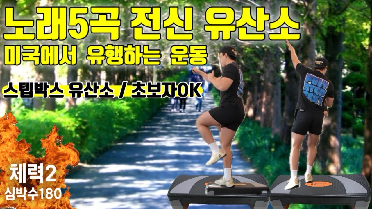 전신 유산소 노래 5곡으로 지방다빼기🔥 / 미국에서 유행하는 운동