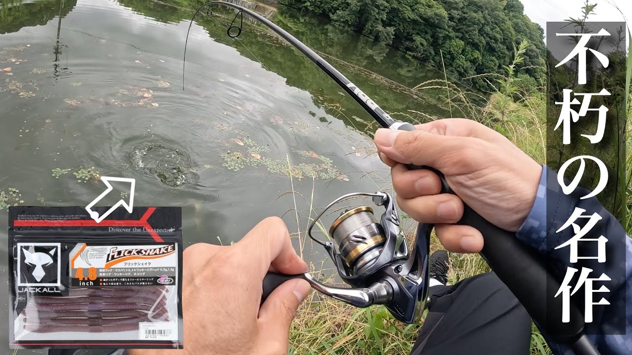 【バス釣り】何年経っても釣れ続けるワーム。フリックシェイク使ったら想定外のデカバスが…［50アップ］［6月］［梅雨］［ジャッカル］［ストレートワーム］