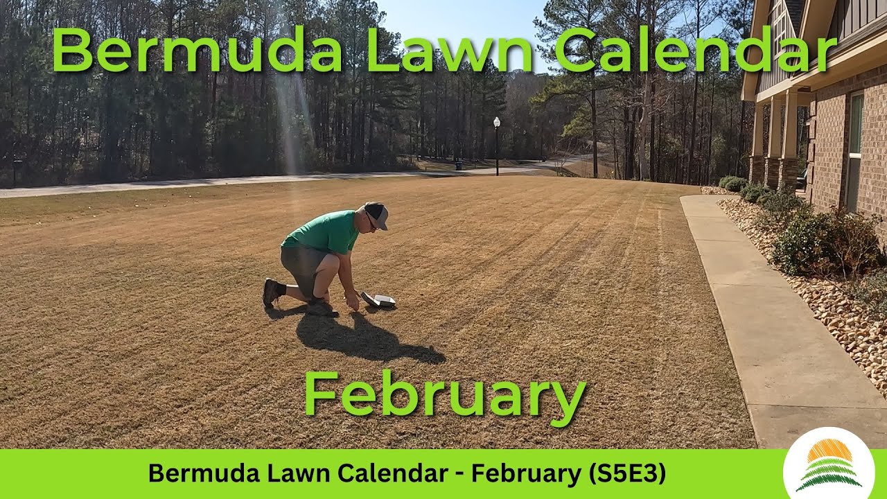 Bermuda Lawn Calendar - February ☀️ (S5E3)