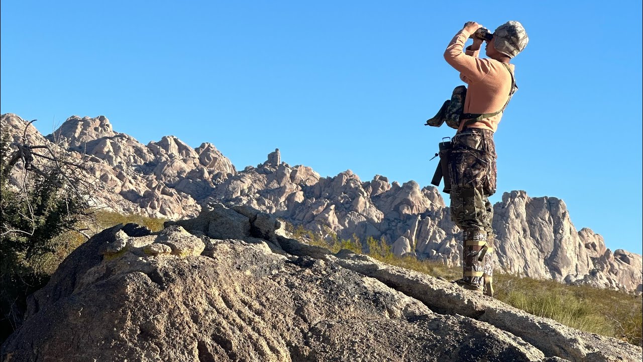 Back at Mojave National preserve for quail and chukar!