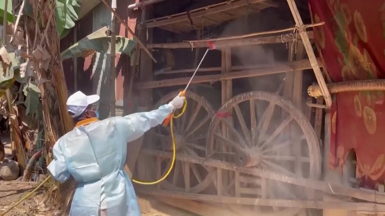 11-Year-Old Girl Dies From Bird Flu