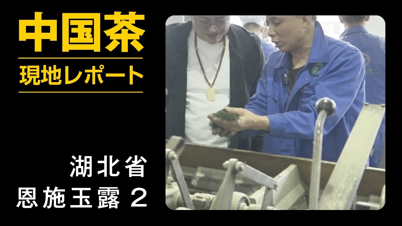 湖北省・恩施玉露の製茶工場／中国茶現地レポート