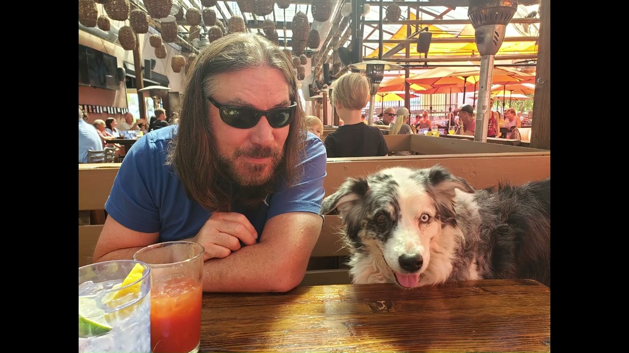 Maddie Girl 11-13-2010 -11-21-2024