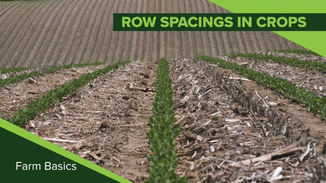 Farm Basics #1138 Row Spacings In Crops (Air Date 1-26-20)