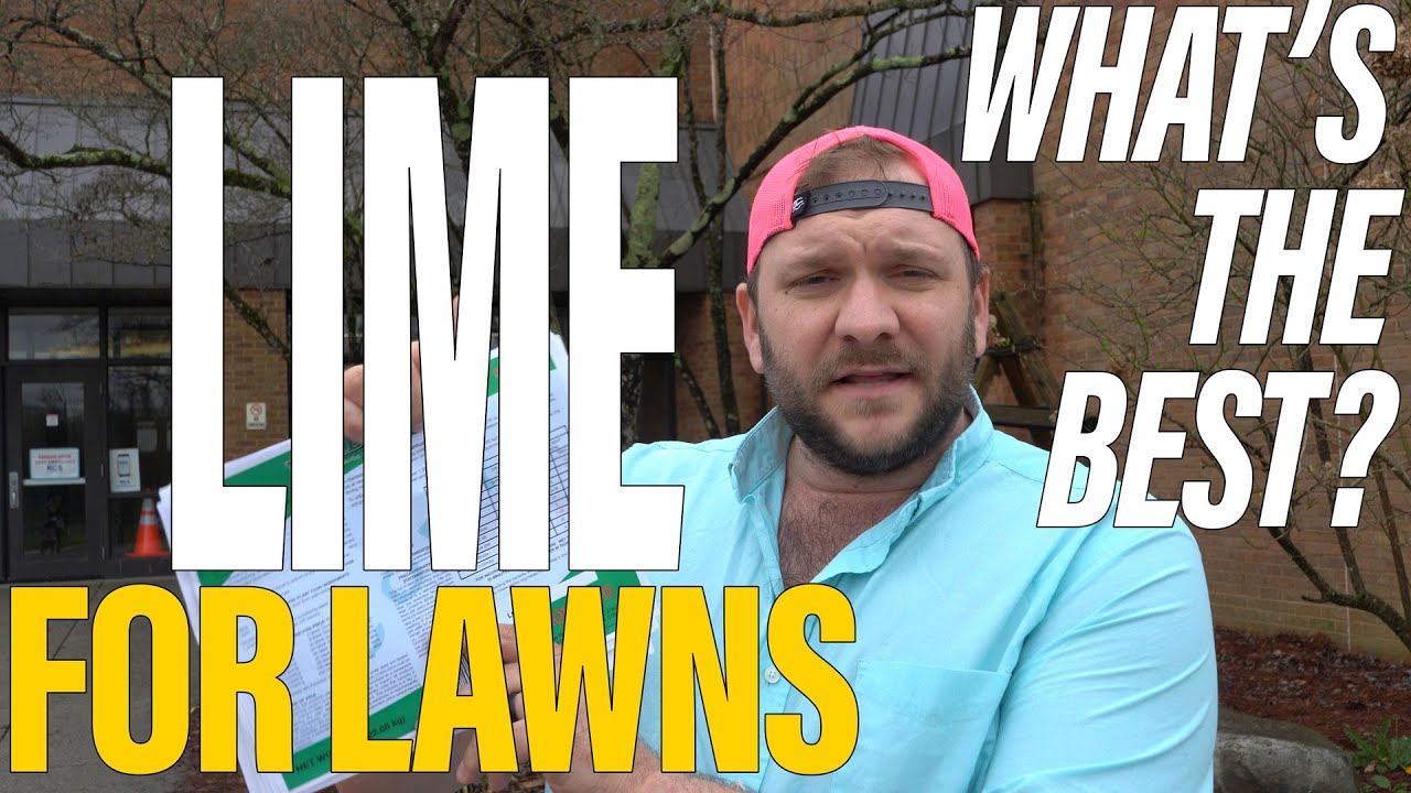 Understanding LIME for LAWNS // What's The BEST LIME?