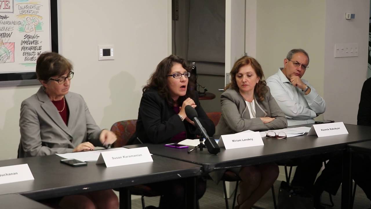 Miriam Lanskoy on Human Rights and the Rule of Law in Armenia