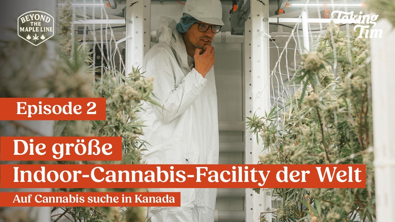 5 Hektar Indoor-Cannabis bei Organigram! Besuch in der gr&ouml;&szlig;ten Anlage der Welt &ndash; Kanada Pt.2  🇨🇦🌿