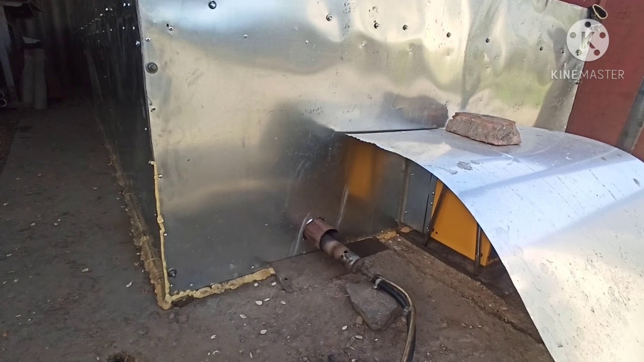 Сушка гарбузового насіння 💪 власного виробництва💪 українка багатоплідна 💪(ПЕРЕЗАЛИВ ВІДЕО АВТОРА)