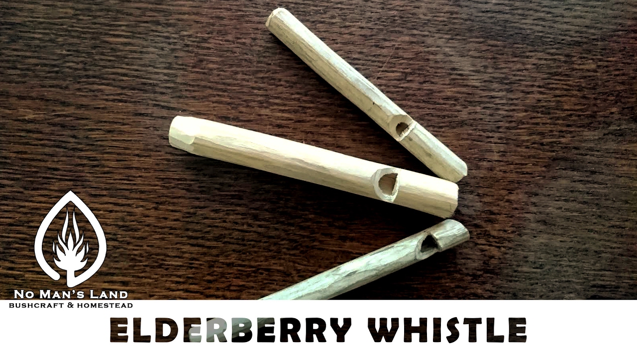 Elderberry whistle