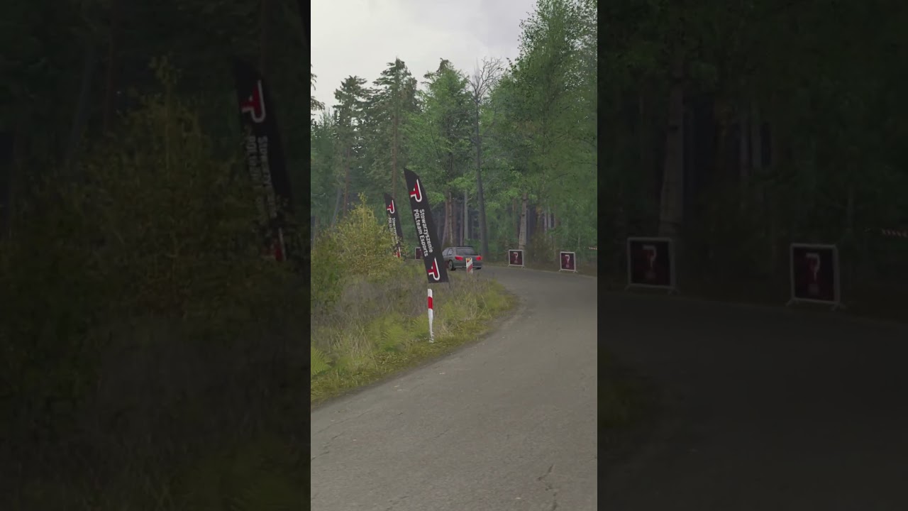 Richard Burns Rally 