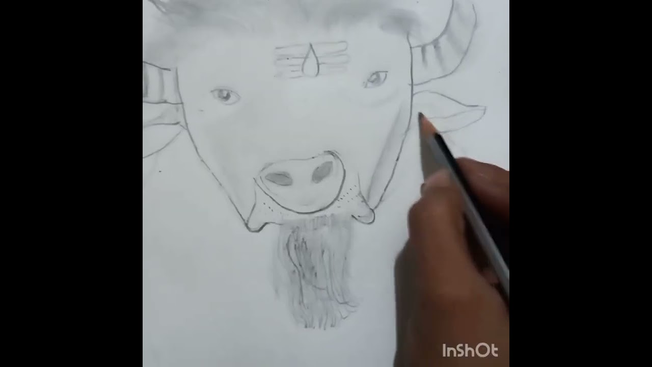 Shivji drawing with Nandi #