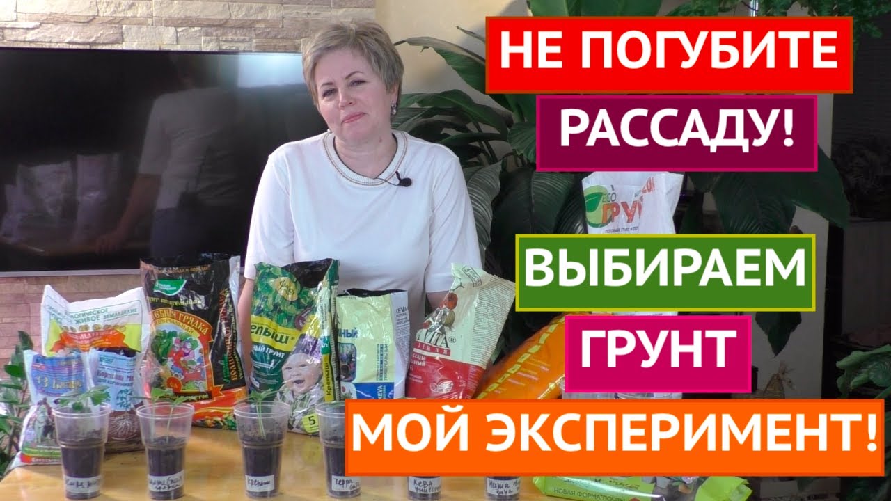 ОБЗОР ГРУНТОВ ДЛЯ РАССАДЫ! БОЛЬШОЙ ЭКСПЕРИМЕНТ!