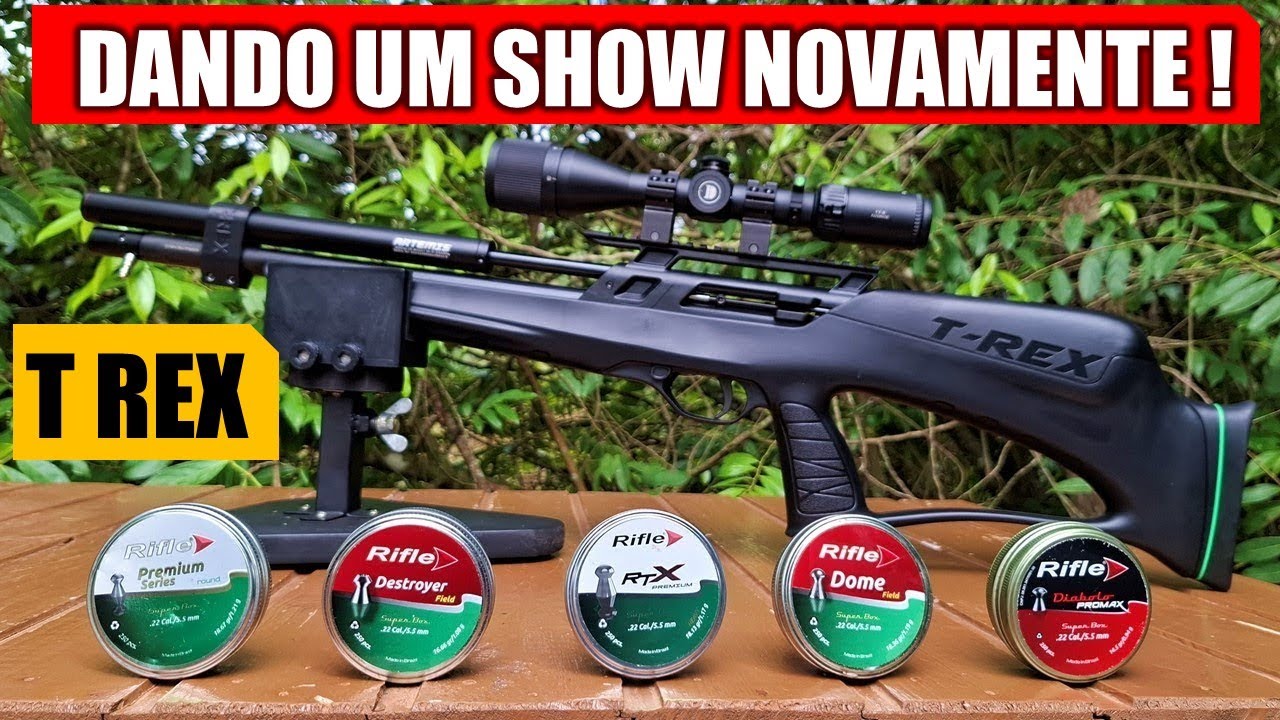 T REX BULLPUP - OS CHUMBINHOS DA RIFLE SUPERAM O JSB ?