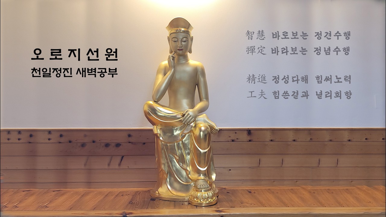 2026.03.17.화. 천일정진 새벽공부 (+1616일) - 지혜광명 문수재일.