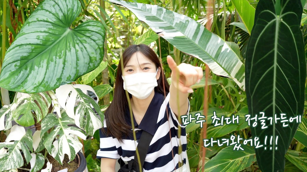 [쩡이의 VLOG] 파주 최대 정글가든에 다녀왔어요!!🌿🌾🌵🌴(feat.식집사들 모여랏!!)
