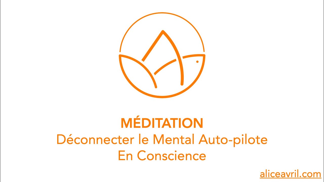 Déjouer son mental avec un Jeu ! Déconnecter le mode Auto-pilote en Conscience - Méditation