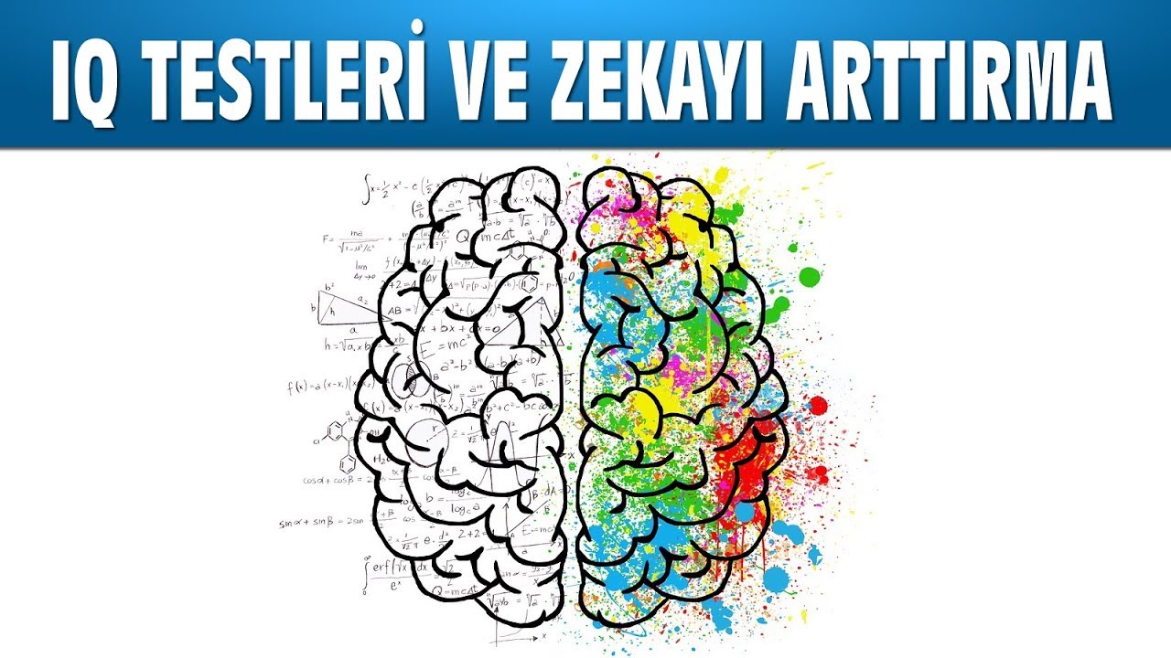 IQ, ZEKA TESTLERİ VE ZEKAYI ARTTIRMA