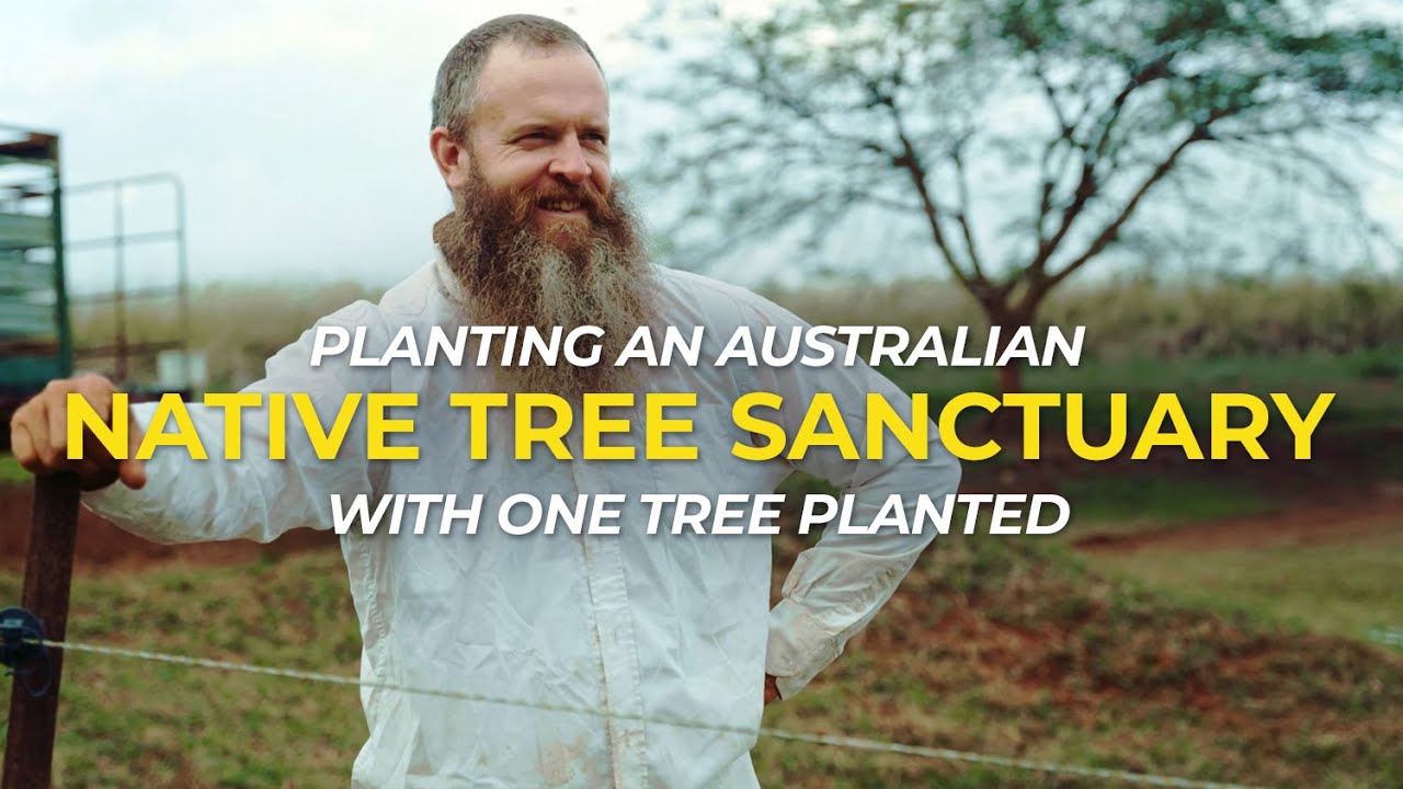 Native Tree Sanctuary in Australia | One Tree Planted
