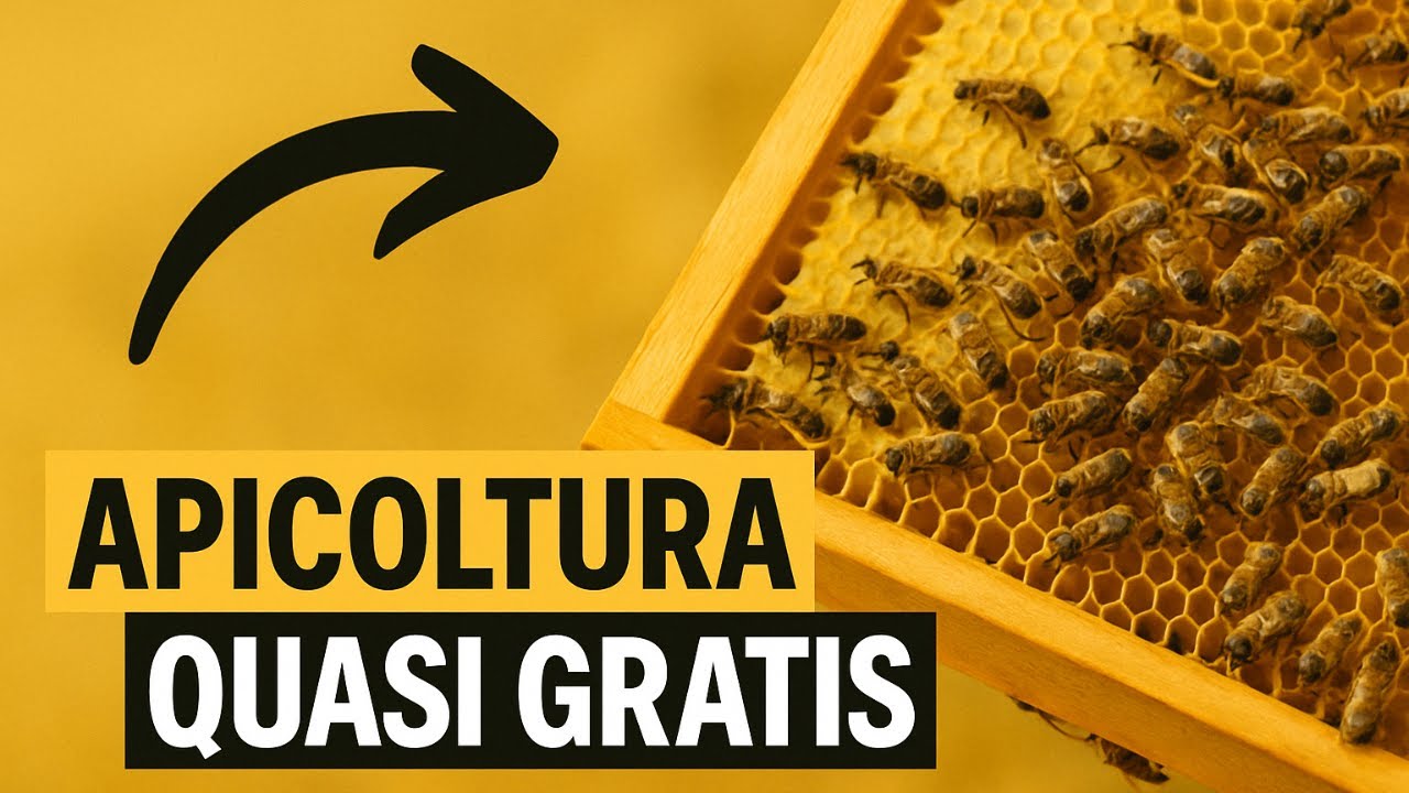 Come Iniziare in Apicoltura a Costo quasi ZERO!