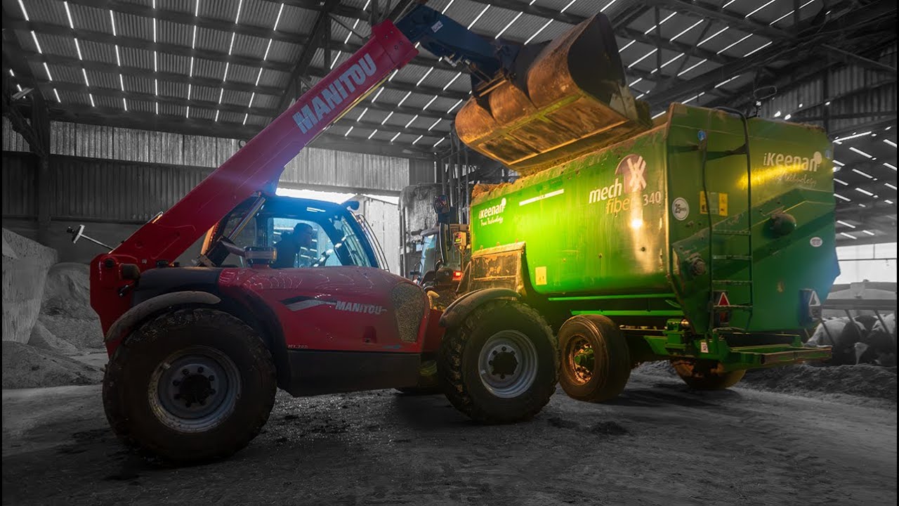Ballycairns Farm | Diet Feeding Dairy Cattle