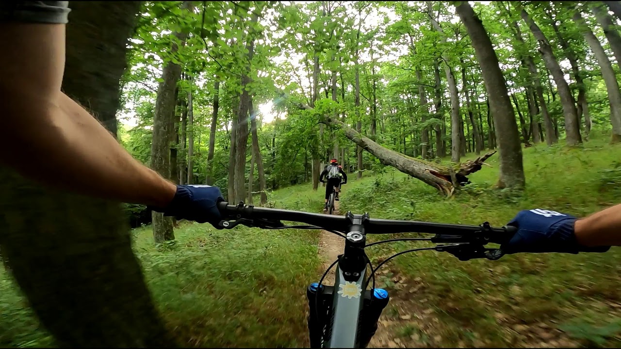 Meet new MTB friends and ride - Modra Harmonia
