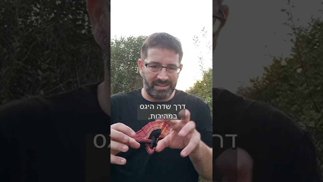 מהו בוזון היגס?