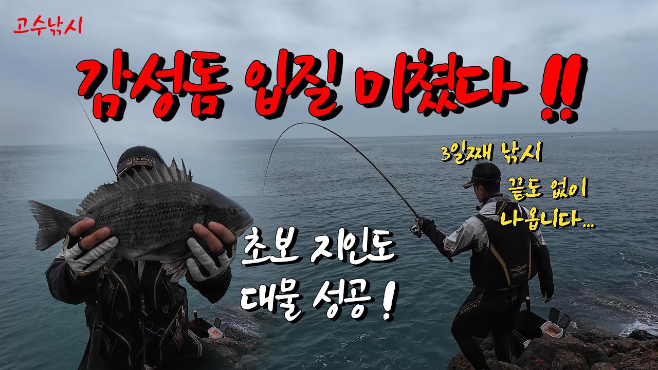 던지면 바로 감성돔! 입질 미쳤다… 초보도 4짜가 가능한 곳!