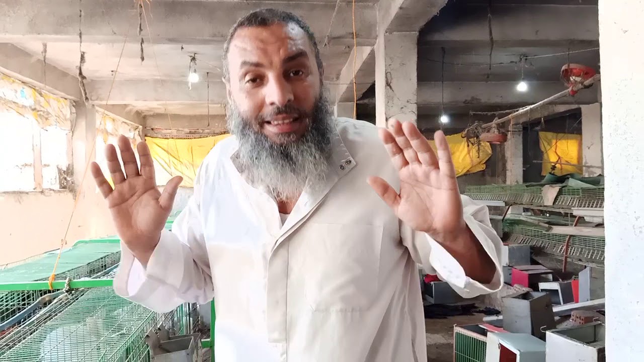 ارانب الخير سر النجاح,,,٣٨