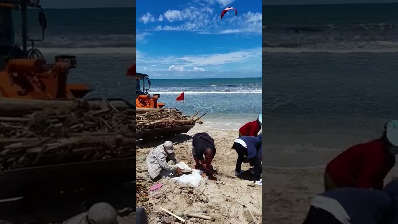 Cleaning up the beach.